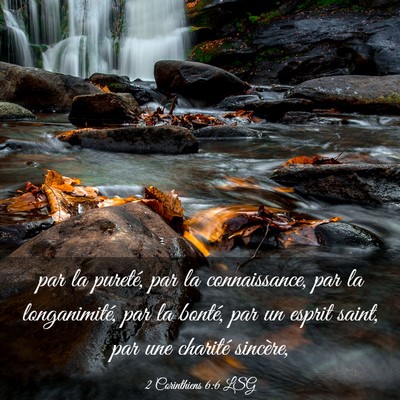 Picture 03 - 2 Corinthiens 6:6 LSG - par la pureté, par la connaissance, par la - Bible Verse Picture