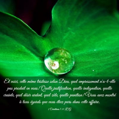 Picture 03 - 2 Corinthiens 7:11 LSG - Et voici, cette même tristesse selon Dieu, quel - Bible Verse Picture