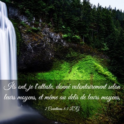 Picture 03 - 2 Corinthiens 8:3 LSG - Ils ont, je l'atteste, donné volontairement - Bible Verse Picture