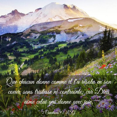 Picture 03 - 2 Corinthiens 9:7 LSG - Que chacun donne comme il l'a résolu en son - Bible Verse Picture