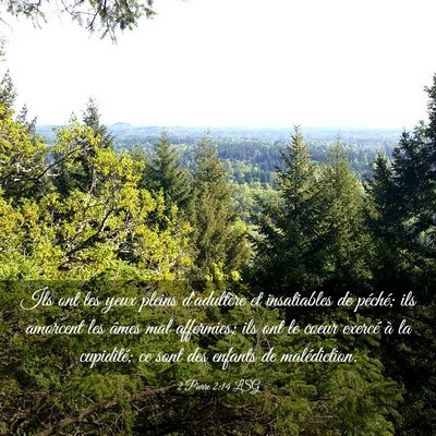 Picture 03 - 2 Pierre 2:14 LSG - Ils ont les yeux pleins d'adultère et - Bible Verse Picture