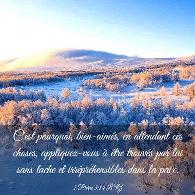 Picture 03 - 2 Pierre 3:14 LSG - C'est pourquoi, bien-aimés, en attendant ces - Bible Verse Picture