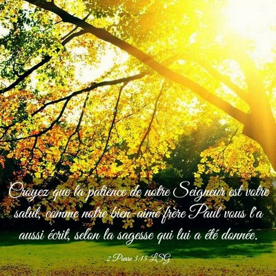 Picture 03 - 2 Pierre 3:15 LSG - Croyez que la patience de notre Seigneur est - Bible Verse Picture