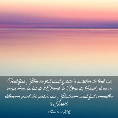 Picture 03 - 2 Rois 10:31 LSG - Toutefois Jéhu ne prit point garde à marcher de - Bible Verse Picture