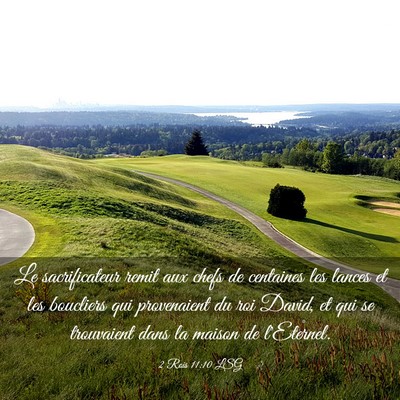 Picture 03 - 2 Rois 11:10 LSG - Le sacrificateur remit aux chefs de centaines les - Bible Verse Picture