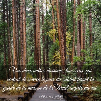 Picture 03 - 2 Rois 11:7 LSG - Vos deux autres divisions, tous ceux qui sortent - Bible Verse Picture