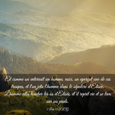 Picture 03 - 2 Rois 13:21 LSG - Et comme on enterrait un homme, voici, on - Bible Verse Picture