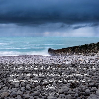 Picture 03 - 2 Rois 14:10 LSG - Tu as battu les Edomites, et ton coeur s'élève. - Bible Verse Picture