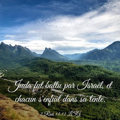 Picture 03 - 2 Rois 14:12 LSG - Juda fut battu par Israël, et chacun s'enfuit - Bible Verse Picture