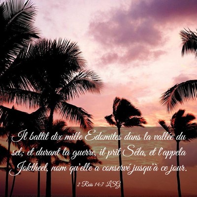 Picture 03 - 2 Rois 14:7 LSG - Il battit dix mille Edomites dans la vallée du - Bible Verse Picture
