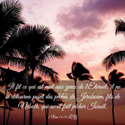 Picture 03 - 2 Rois 15:24 LSG - Il fit ce qui est mal aux yeux de l'Eternel; il - Bible Verse Picture