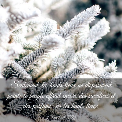 Picture 03 - 2 Rois 15:4 LSG - Seulement, les hauts lieux ne disparurent point; - Bible Verse Picture