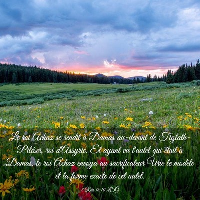 Picture 03 - 2 Rois 16:10 LSG - Le roi Achaz se rendit à Damas au-devant de - Bible Verse Picture