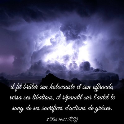 Picture 03 - 2 Rois 16:13 LSG - il fit brûler son holocauste et son offrande, - Bible Verse Picture