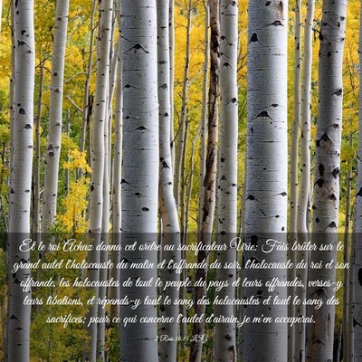 Picture 03 - 2 Rois 16:15 LSG - Et le roi Achaz donna cet ordre au sacrificateur - Bible Verse Picture