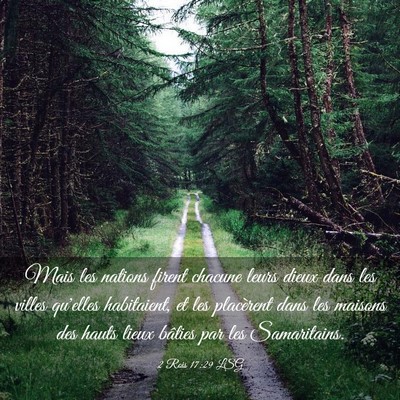 Picture 03 - 2 Rois 17:29 LSG - Mais les nations firent chacune leurs dieux dans - Bible Verse Picture