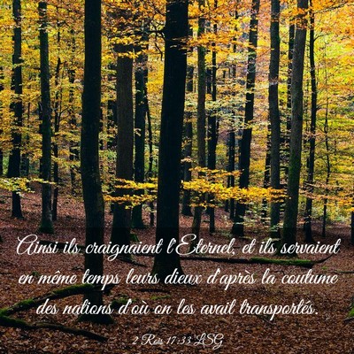 Picture 03 - 2 Rois 17:33 LSG - Ainsi ils craignaient l'Eternel, et ils servaient - Bible Verse Picture