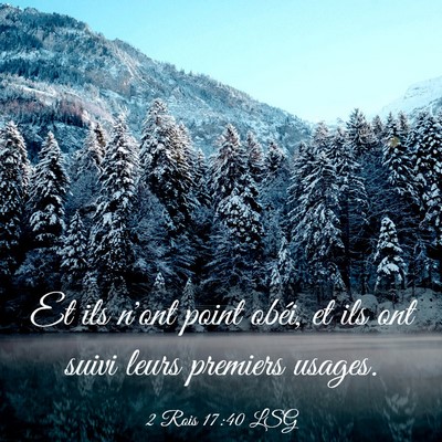 Picture 03 - 2 Rois 17:40 LSG - Et ils n'ont point obéi, et ils ont suivi leurs - Bible Verse Picture