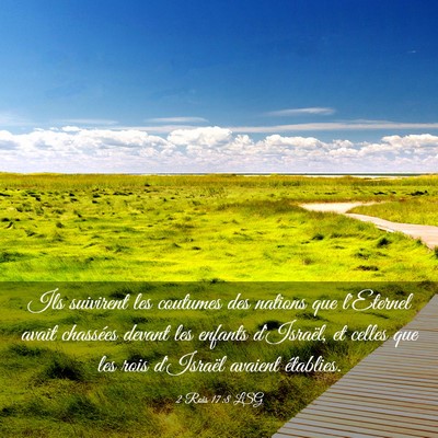 Picture 03 - 2 Rois 17:8 LSG - Ils suivirent les coutumes des nations que - Bible Verse Picture