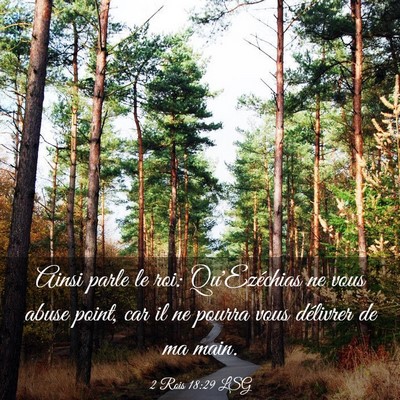 Picture 03 - 2 Rois 18:29 LSG - Ainsi parle le roi: Qu'Ezéchias ne vous abuse - Bible Verse Picture