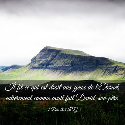 Picture 03 - 2 Rois 18:3 LSG - Il fit ce qui est droit aux yeux de l'Eternel, - Bible Verse Picture