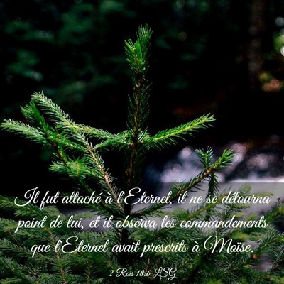 Picture 03 - 2 Rois 18:6 LSG - Il fut attaché à l'Eternel, il ne se détourna - Bible Verse Picture