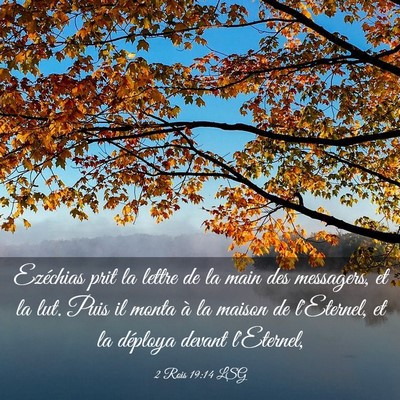 Picture 03 - 2 Rois 19:14 LSG - Ezéchias prit la lettre de la main des - Bible Verse Picture