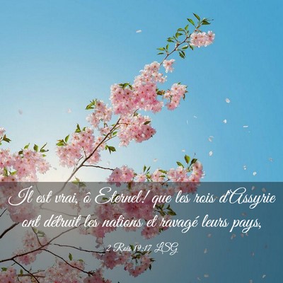 Picture 03 - 2 Rois 19:17 LSG - Il est vrai, ô Eternel! que les rois d'Assyrie - Bible Verse Picture