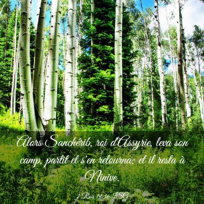 Picture 03 - 2 Rois 19:36 LSG - Alors Sanchérib, roi d'Assyrie, leva son camp, - Bible Verse Picture