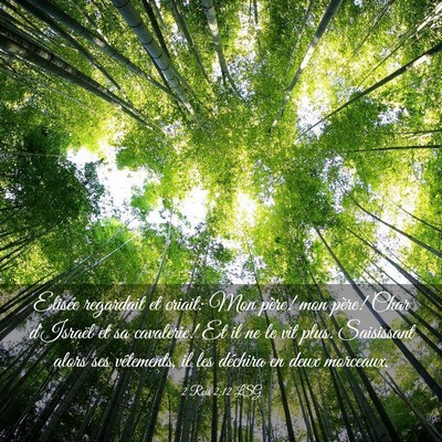 Picture 03 - 2 Rois 2:12 LSG - Elisée regardait et criait: Mon père! mon - Bible Verse Picture