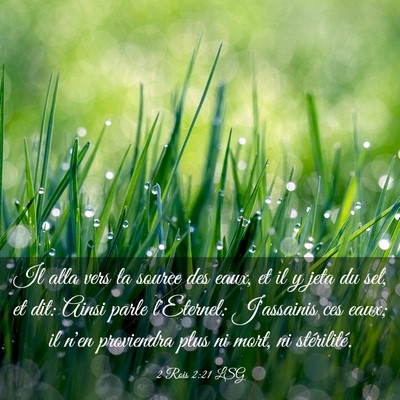 Picture 03 - 2 Rois 2:21 LSG - Il alla vers la source des eaux, et il y jeta du - Bible Verse Picture