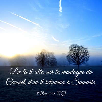 Picture 03 - 2 Rois 2:25 LSG - De là il alla sur la montagne du Carmel, d'où - Bible Verse Picture