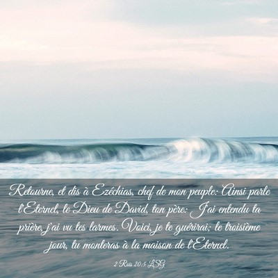 Picture 03 - 2 Rois 20:5 LSG - Retourne, et dis à Ezéchias, chef de mon - Bible Verse Picture