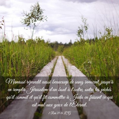 Picture 03 - 2 Rois 21:16 LSG - Manassé répandit aussi beaucoup de sang - Bible Verse Picture