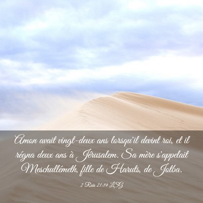 Picture 03 - 2 Rois 21:19 LSG - Amon avait vingt-deux ans lorsqu'il devint roi, - Bible Verse Picture