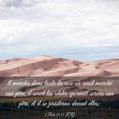 Picture 03 - 2 Rois 21:21 LSG - il marcha dans toute la voie où avait marché - Bible Verse Picture