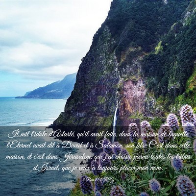 Picture 03 - 2 Rois 21:7 LSG - Il mit l'idole d'Astarté, qu'il avait faite, - Bible Verse Picture