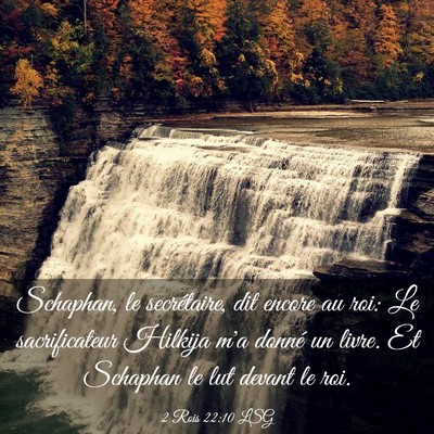 Picture 03 - 2 Rois 22:10 LSG - Schaphan, le secrétaire, dit encore au roi: Le - Bible Verse Picture
