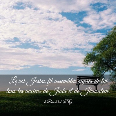 Picture 03 - 2 Rois 23:1 LSG - Le roi Josias fit assembler auprès de lui tous - Bible Verse Picture