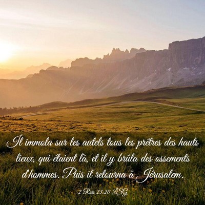 Picture 03 - 2 Rois 23:20 LSG - Il immola sur les autels tous les prêtres des - Bible Verse Picture