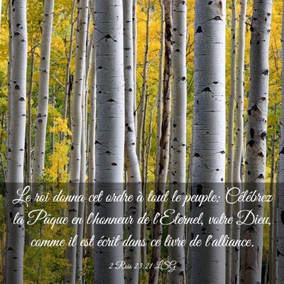 Picture 03 - 2 Rois 23:21 LSG - Le roi donna cet ordre à tout le peuple: - Bible Verse Picture
