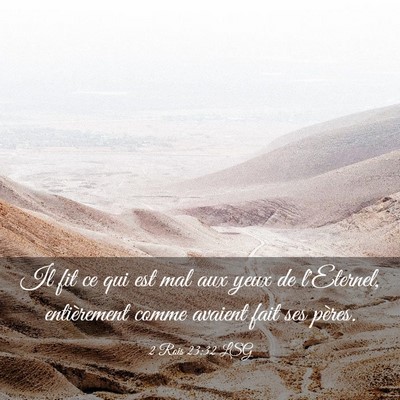 Picture 03 - 2 Rois 23:32 LSG - Il fit ce qui est mal aux yeux de l'Eternel, - Bible Verse Picture