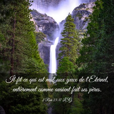 Picture 03 - 2 Rois 23:37 LSG - Il fit ce qui est mal aux yeux de l'Eternel, - Bible Verse Picture