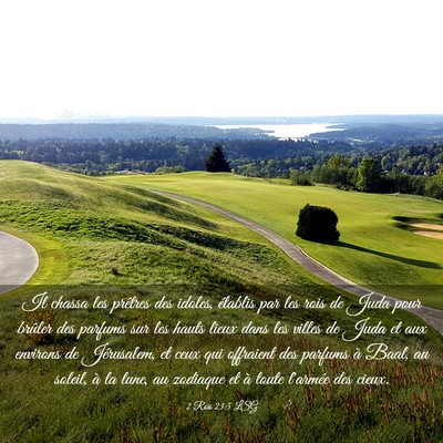 Picture 03 - 2 Rois 23:5 LSG - Il chassa les prêtres des idoles, établis par - Bible Verse Picture
