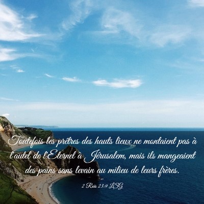 Picture 03 - 2 Rois 23:9 LSG - Toutefois les prêtres des hauts lieux ne - Bible Verse Picture