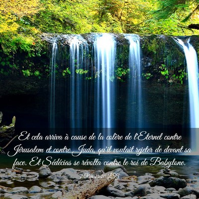 Picture 03 - 2 Rois 24:20 LSG - Et cela arriva à cause de la colère de - Bible Verse Picture