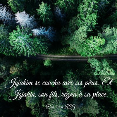 Picture 03 - 2 Rois 24:6 LSG - Jojakim se coucha avec ses pères. Et Jojakin, - Bible Verse Picture
