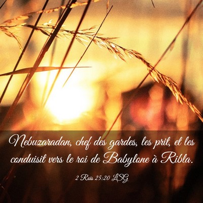 Picture 03 - 2 Rois 25:20 LSG - Nebuzaradan, chef des gardes, les prit, et les - Bible Verse Picture