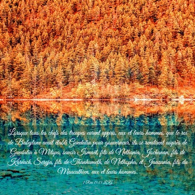 Picture 03 - 2 Rois 25:23 LSG - Lorsque tous les chefs des troupes eurent appris, - Bible Verse Picture