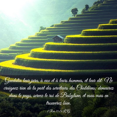 Picture 03 - 2 Rois 25:24 LSG - Guedalia leur jura, à eux et à leurs hommes, et - Bible Verse Picture